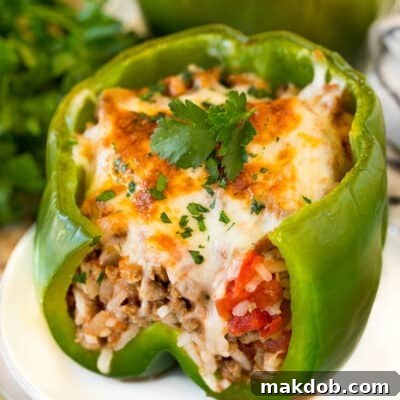 Stuffed green peppers on serving plates garnished with parsley.
