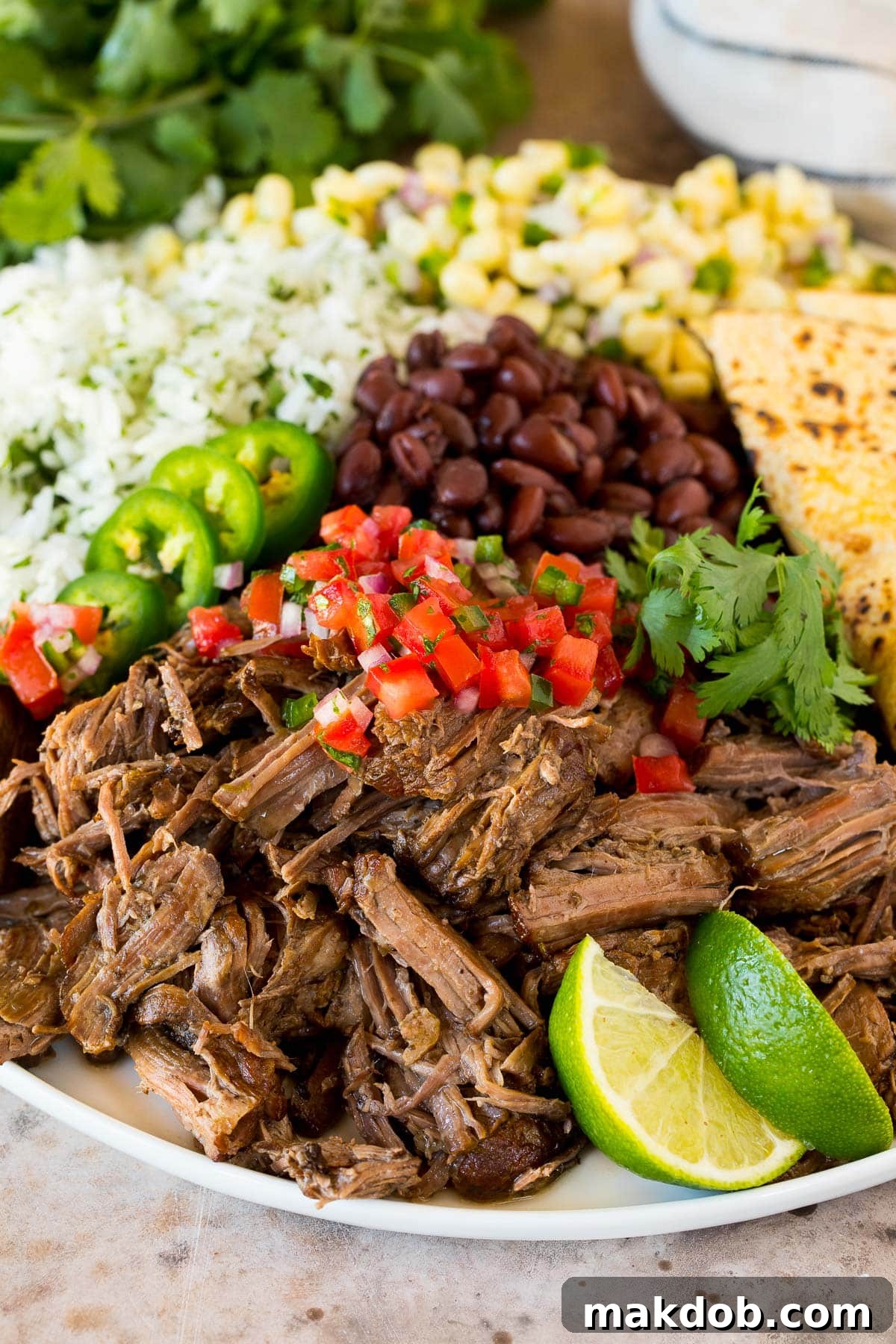 A platter of Chipotle barbacoa served with cilantro lime rice, black beans, and fresh salsa.