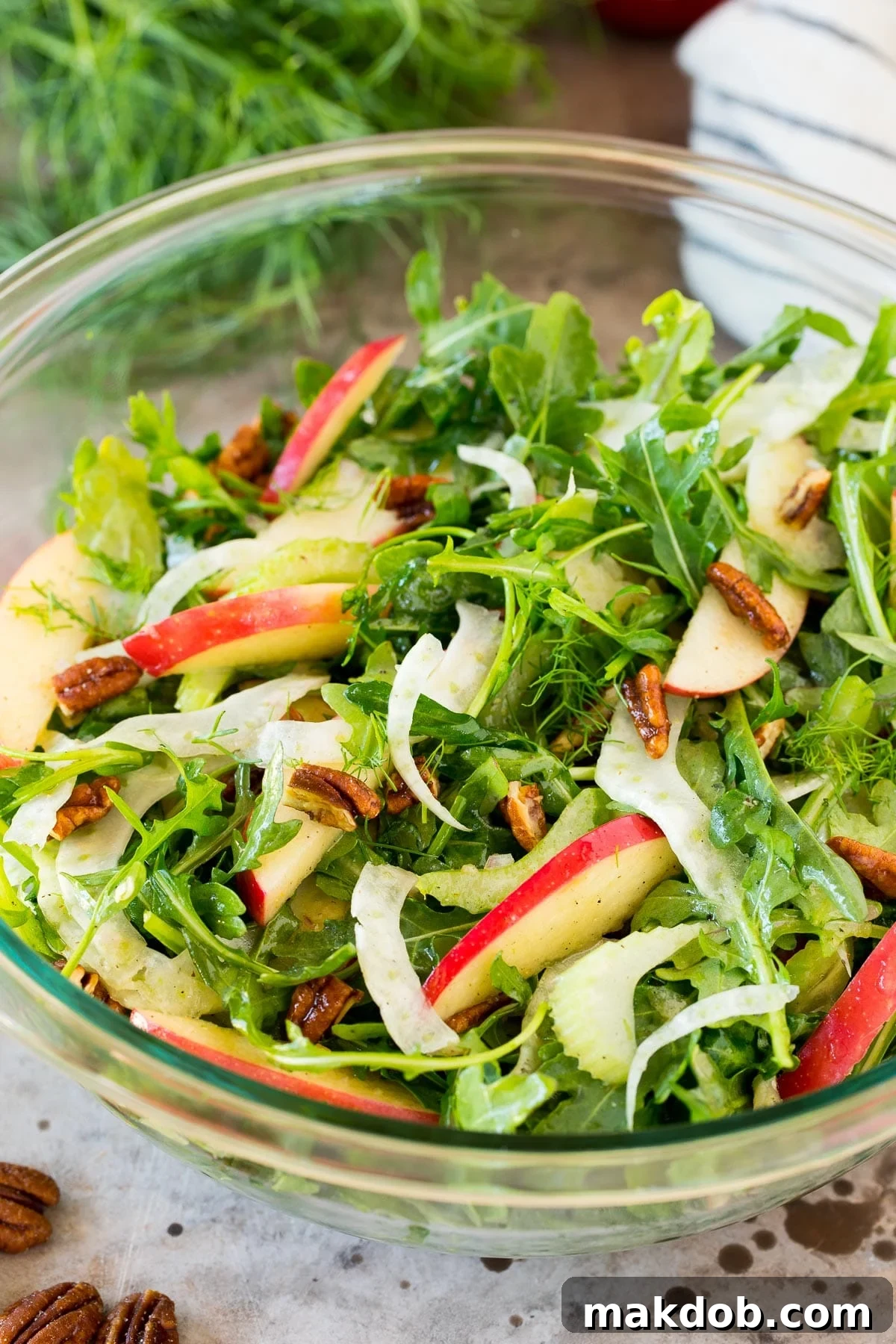 A beautifully arranged bowl of fennel and apple salad featuring arugula, thinly sliced fennel, crisp apple pieces, and candied pecans, with a light dressing.