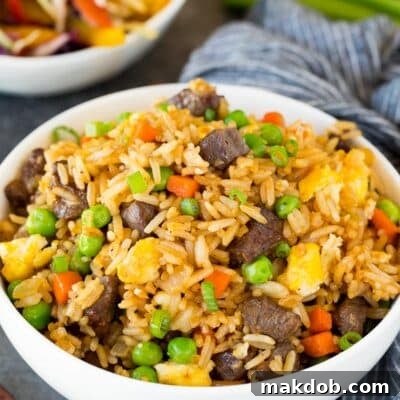 A bowl of beef fried rice topped with green onions.