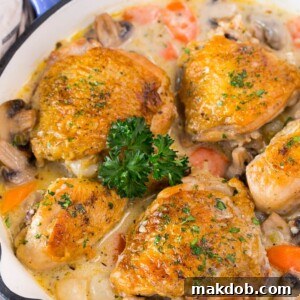 20 Easy One-Pot Chicken Dinners 13 A delectable pan of creamy chicken fricassee, rich with tender chicken pieces, mushrooms, and carrots in a luscious sauce.