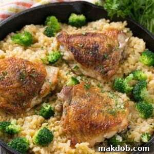 20 Easy One-Pot Chicken Dinners 17 Creamy one-pot chicken with cheddar broccoli rice, combining classic flavors for a quick and easy dinner.