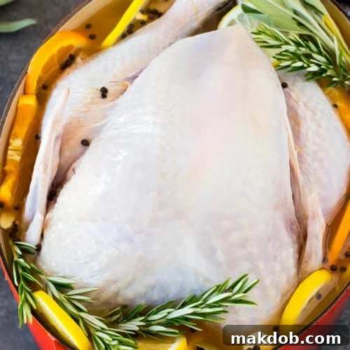 A raw turkey in a pot of smoked turkey brine.