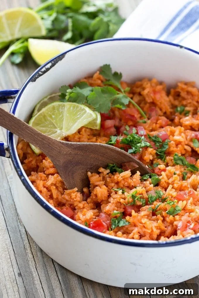 Pinto Beans and Rice Recipe | Mexican Rice Recipe | Pinto Beans Recipe #beans #rice #mexicanfood #glutenfree #dinner #dinneratthezoo Fluffy Mexican rice topped with fresh cilantro and diced tomatoes, ready to serve.