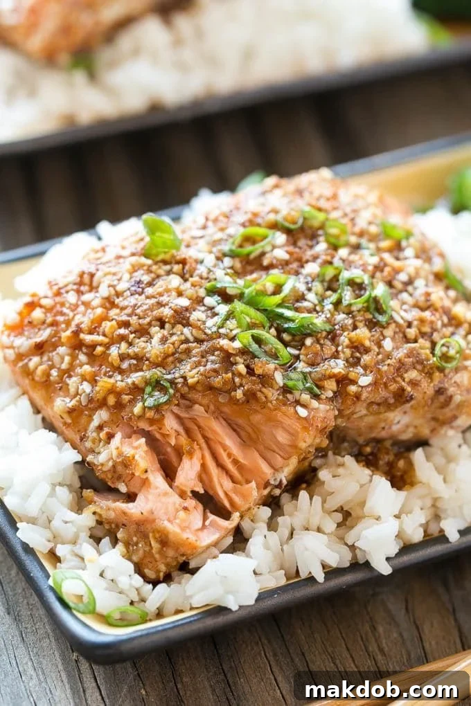 Almond Crusted Salmon | Seared Salmon | Asian Salmon #salmon #fish #seafood #almonds #dinner #dinneratthezoo Almond crusted salmon served over steamed rice.