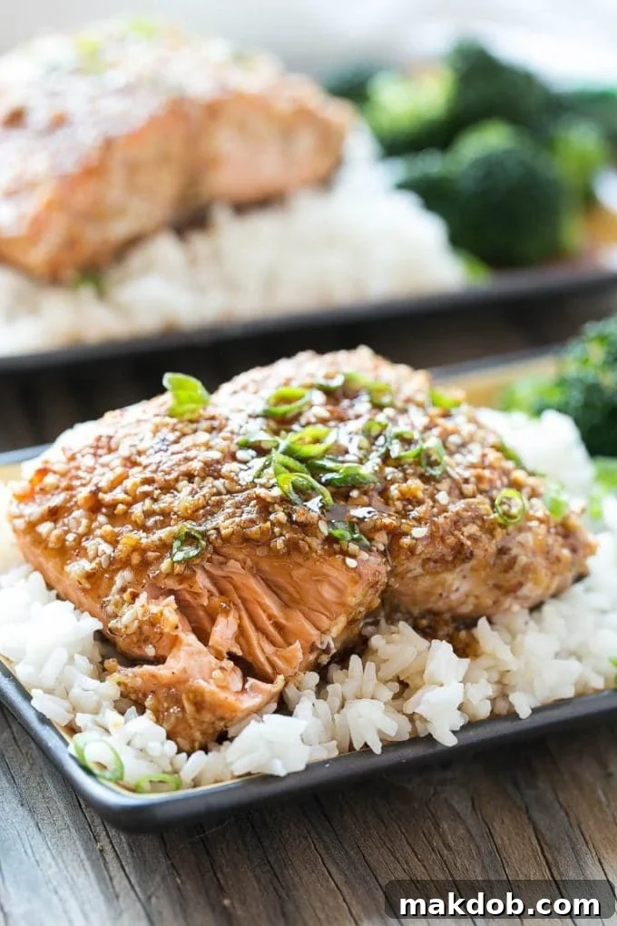 Almond Crusted Salmon | Seared Salmon | Asian Salmon #salmon #fish #seafood #almonds #dinner #dinneratthezoo An almond crusted salmon fillet served over white rice.