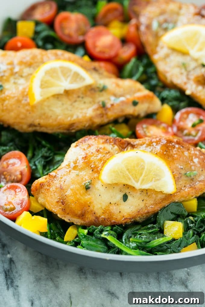 Golden-Brown Chicken & Wilted Spinach Skillet 4 Golden-brown seared chicken breasts with fresh lemon slices, vibrant tomatoes, and colorful bell pepper in a pan.