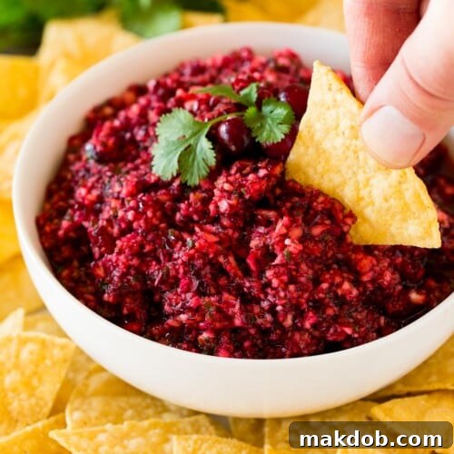 A hand scooping up some cranberry salsa with a tortilla chip, showing off the festive colors.