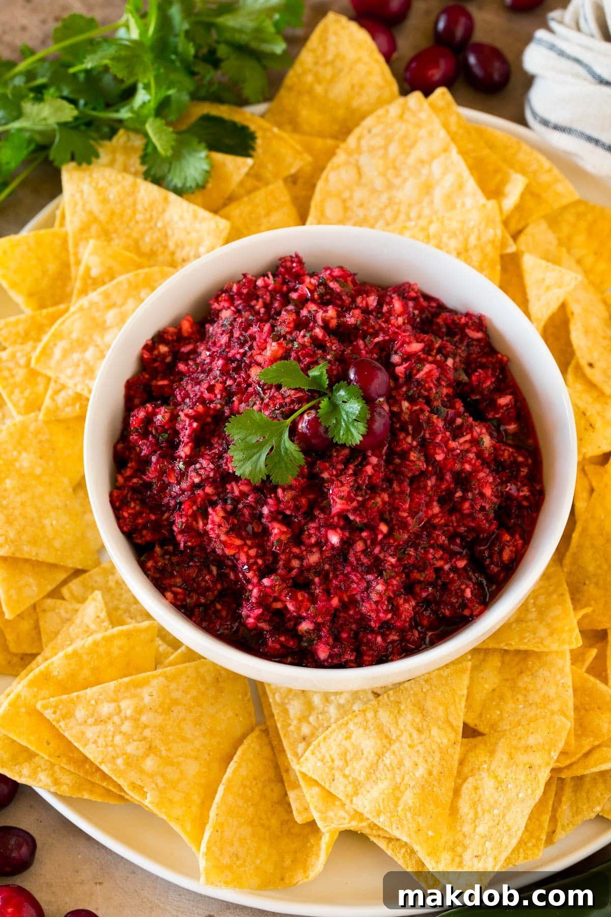 A beautifully presented bowl of bright red cranberry salsa surrounded by crispy tortilla chips, ready for serving.