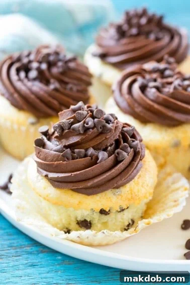 Sunshine Strawberry Lemon Cake 9 This delightful recipe for chocolate chip cupcakes features a tender white cake generously studded with chocolate chips, finished with rich chocolate frosting and additional chocolate chip sprinkles. It's the perfect sweet treat for any celebration!