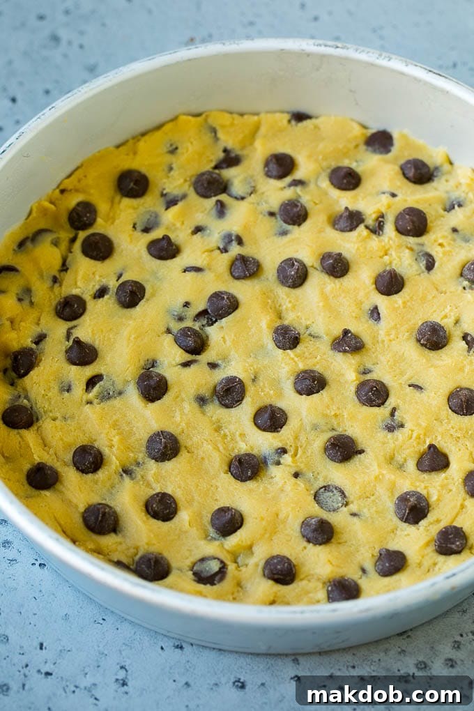 Cookie Dough in Cake Pan for Baking Freshly pressed chocolate chip cookie dough perfectly settled into a round cake pan, ready for baking.