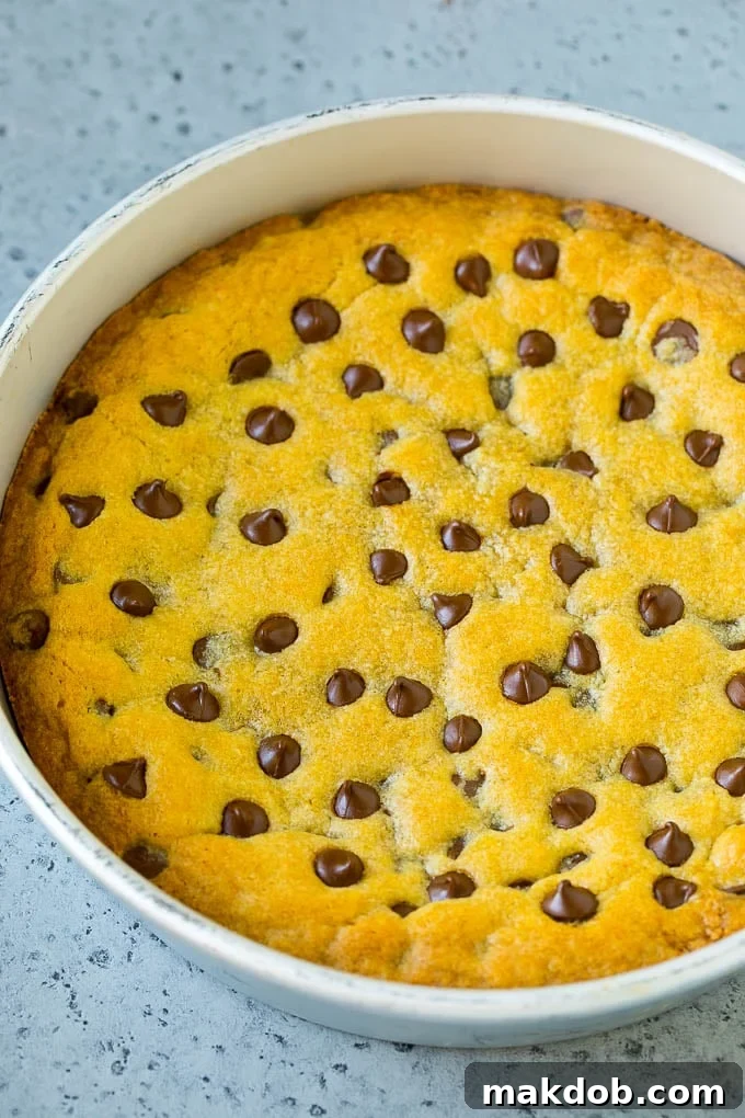 Giant Chocolate Chip Cookie Baked in a Pan A colossal chocolate chip cookie filling an entire round pan, baked to golden perfection and ready for frosting.