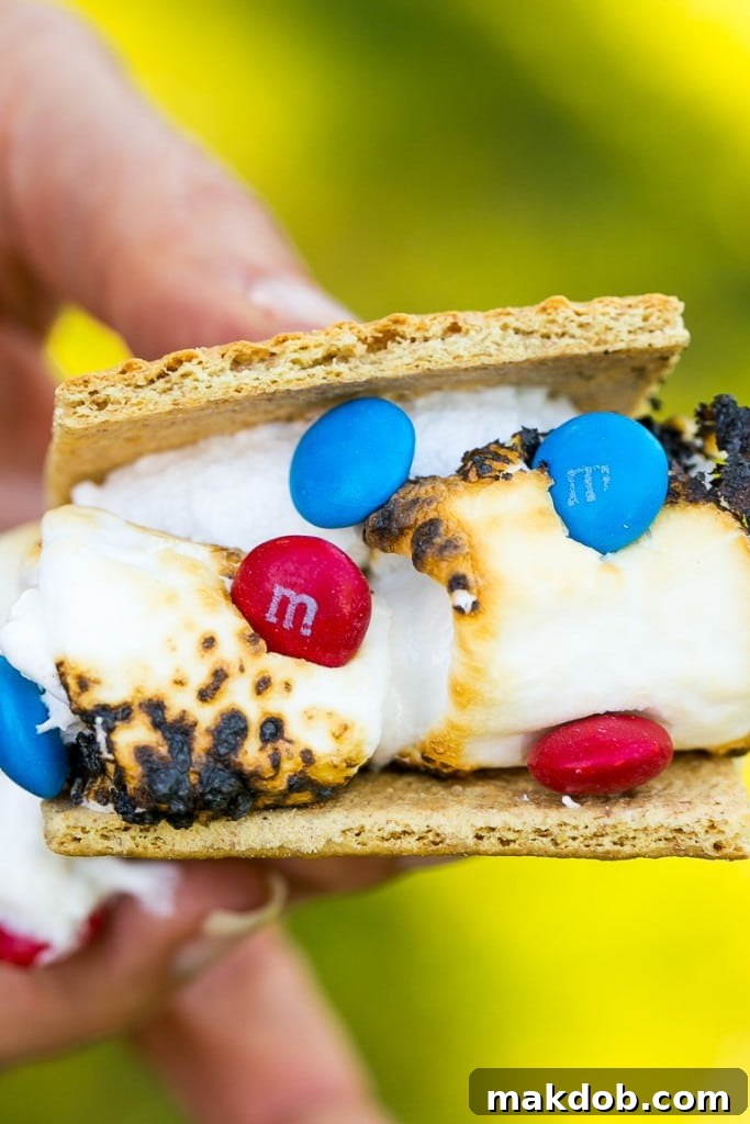 Delicious patriotic s'mores featuring toasted marshmallows, graham crackers, and colorful M&M's.