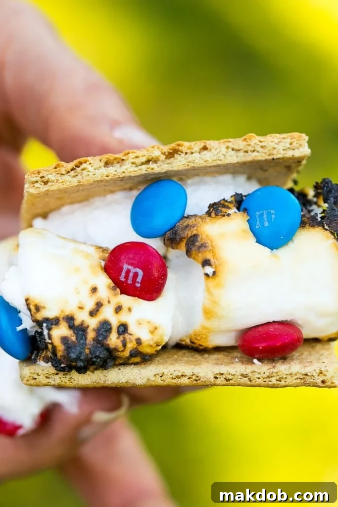 Red, White & Blue M&M's S'mores Recipe Delicious patriotic s'mores with toasted marshmallows, graham crackers, and colorful Red, White & Blue M&M's.