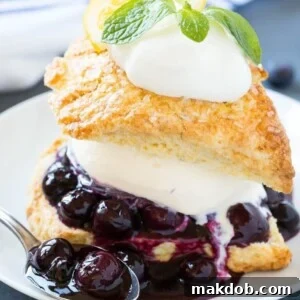 This recipe for blueberry shortcake is vanilla ice cream and homemade blueberry sauce sandwiched between lemon shortcake and finished off with whipped cream. This easy and elegant dessert is perfect for any occasion!