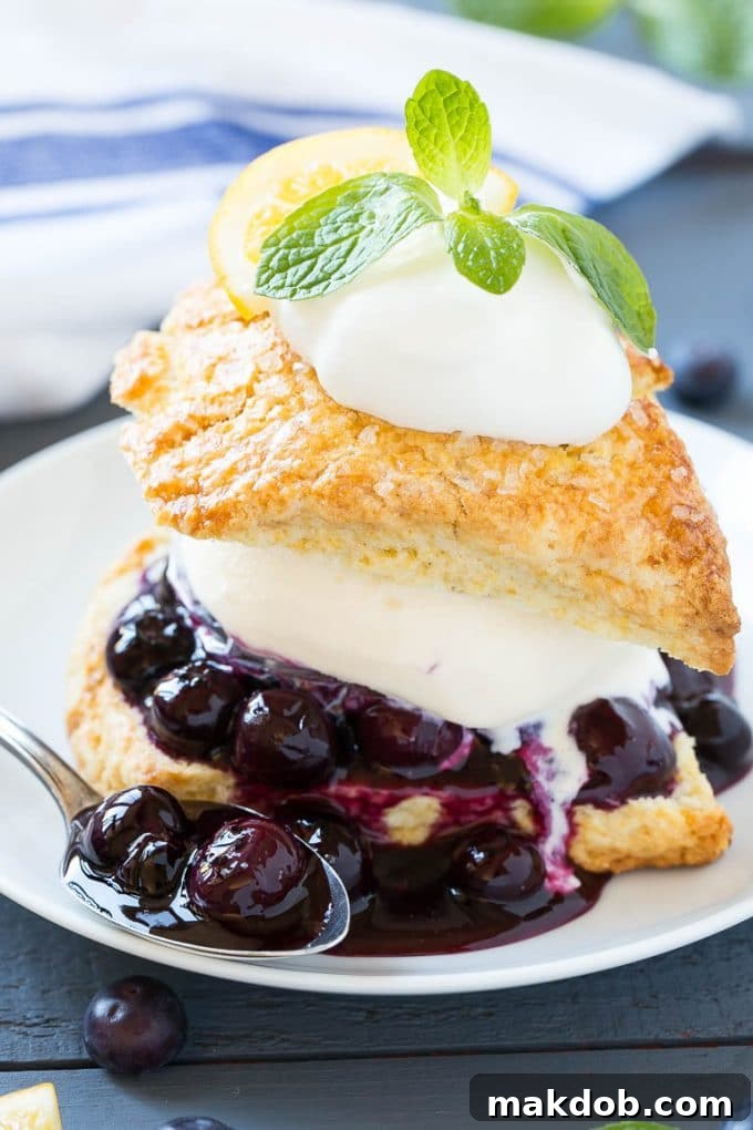 Elegant Blueberry Shortcake with fresh blueberries and whipped cream