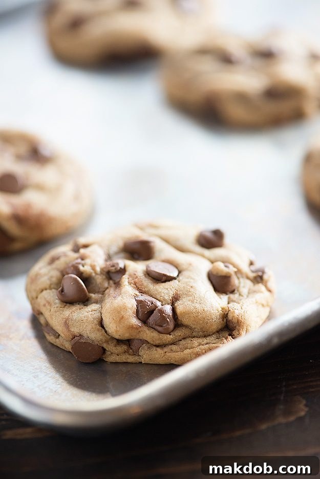 Warm, chewy, and utterly irresistible Perfect Chocolate Chip Cookies, a timeless classic dessert for any occasion.