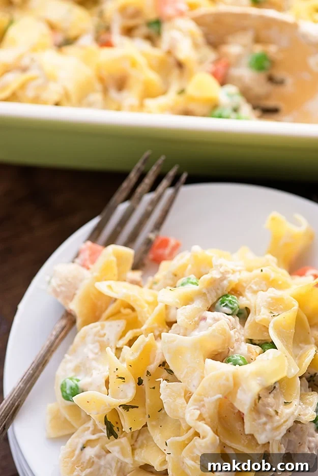 Hearty Chicken Noodle Casserole, a comforting and easy family dinner.