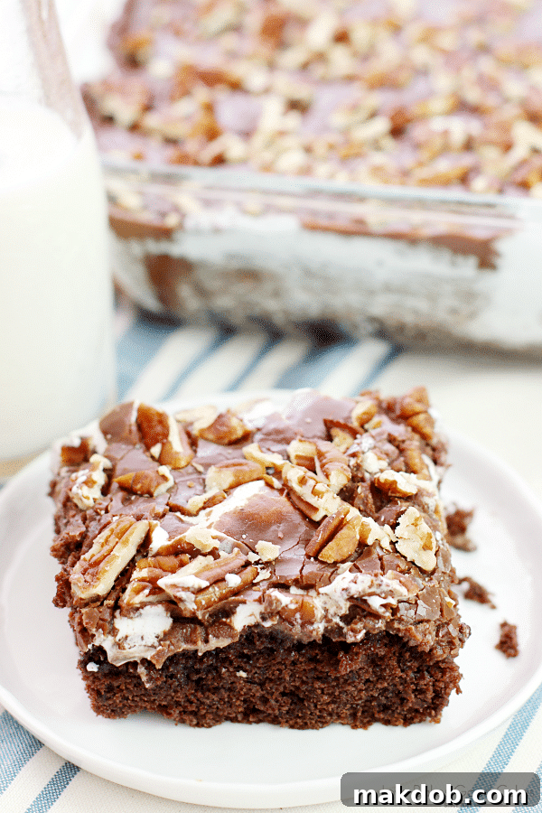 Decadent Mississippi Mud Cake, a chocolate lover's dream dessert