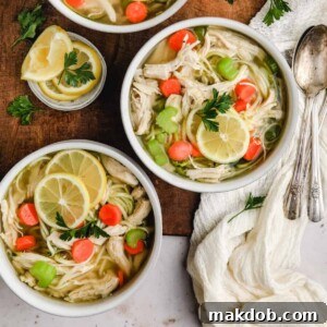 Two cozy bowls of comforting chicken soup with zoodles.