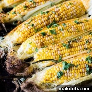 A vibrant close-up of oven-roasted corn on the cob, generously coated with a rich, creamy chili butter. The kernels are perfectly golden and slightly caramelized, with hints of red chili flakes and fresh herbs, promising a delightful blend of sweet corn and spicy, zesty butter.