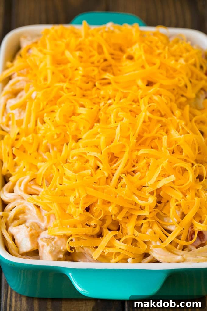 A baking dish filled with creamy spaghetti, generously topped with melted cheese, ready to be served.