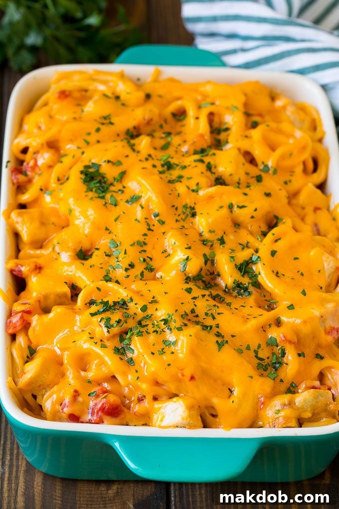 Baked chicken spaghetti, freshly out of the oven, topped with golden melted cheese and garnished with fresh parsley.