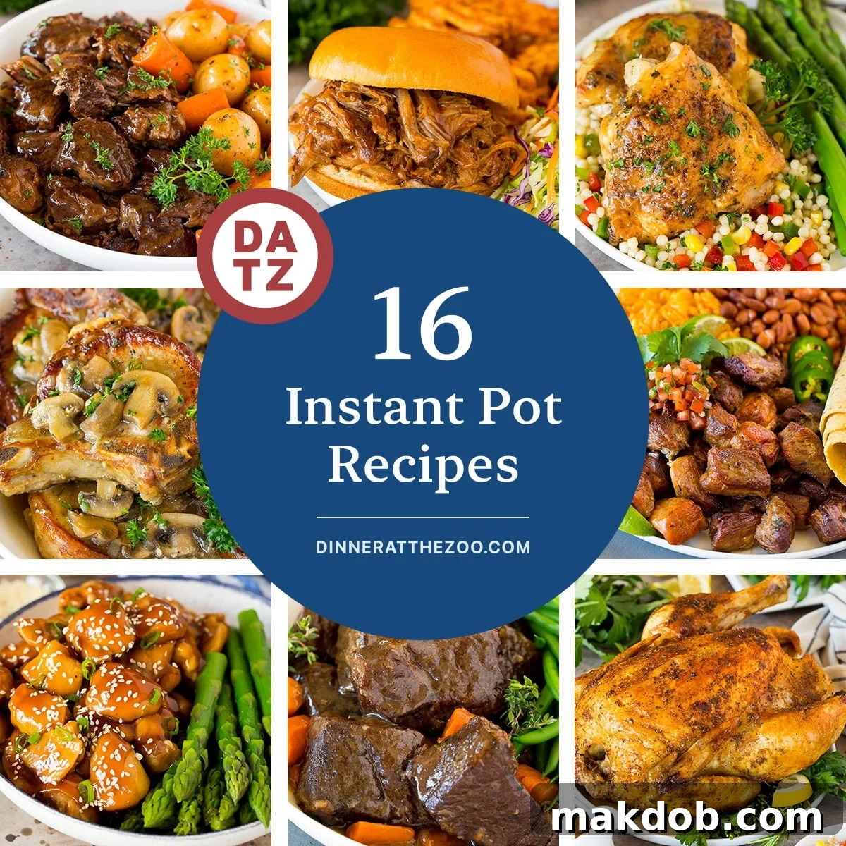 A vibrant collection of quick and easy Instant Pot recipes featuring diverse options like hearty pot roast, succulent pork chops, and tender chicken thighs, perfect for any occasion.