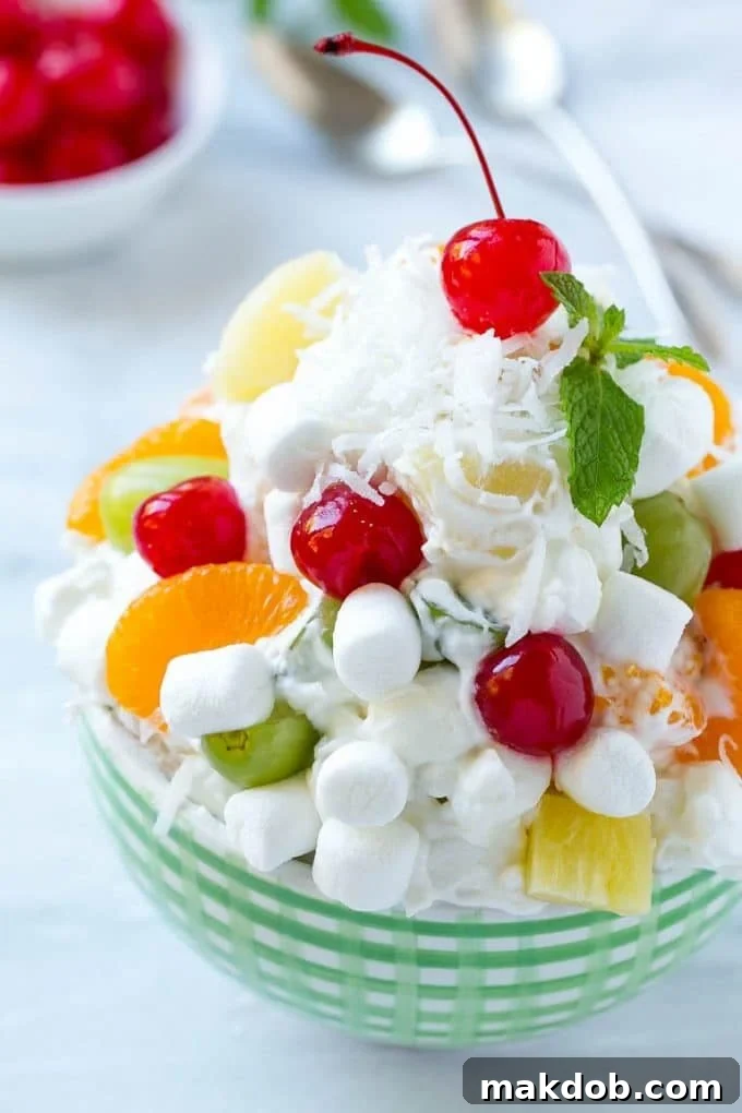 Ambrosia Salad Recipe | Fruit Salad | Potluck Dish #fruit #fruitsalad #coconut #marshmallows #dessert #dinneratthezoo A bowl of ambrosia salad topped with coconut, marshmallows, fruit and a cherry.