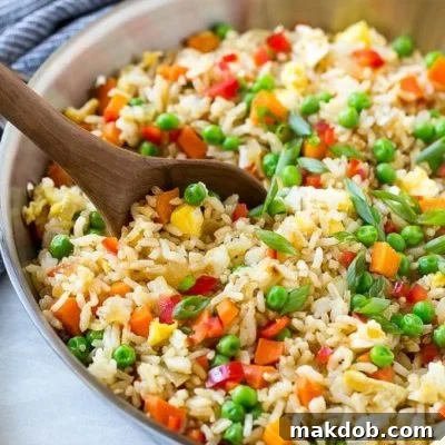 Garden Vegetable Fried Rice 2 This recipe for veggie fried rice is chock full of colorful veggies and is ready in just 20 minutes! This vegetarian fried rice is the perfect quick and easy side dish that the whole family will love. #WokWednesday #sponsored