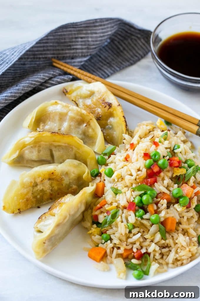 Veggie Fried Rice Recipe | Vegetarian Fried Rice | Easy Fried Rice Recipe | Chinese Food #rice #friedrice #veggie #vegetarian #sidedish #dinneratthezoo Potstickers served alongside a generous portion of veggie fried rice.