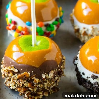 Caramel apples dipped in caramel, chocolate and coated with colorful toppings.