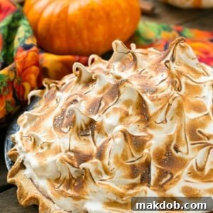 The most exquisite pumpkin pie, featuring a smooth, rich filling and crowned with a magnificent, golden mountain of toasted brown sugar meringue.