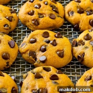 Delicious pumpkin chocolate chip cookies, soft and plump, arranged neatly on a cooling rack, showcasing their inviting texture and numerous chocolate morsels.