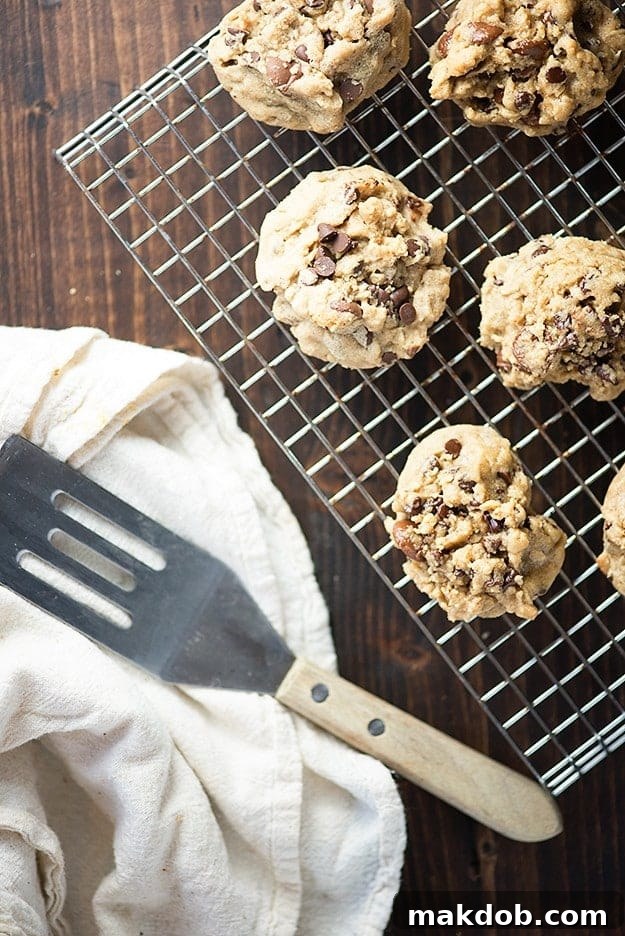 Peanut Butter Oatmeal Chocolate Chip Cookies, a chewy and sweet dessert.