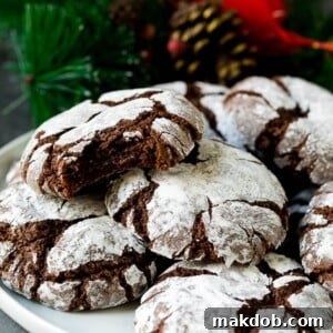 A plate of deeply fudgy chocolate crinkle cookies, dusted with powdered sugar.