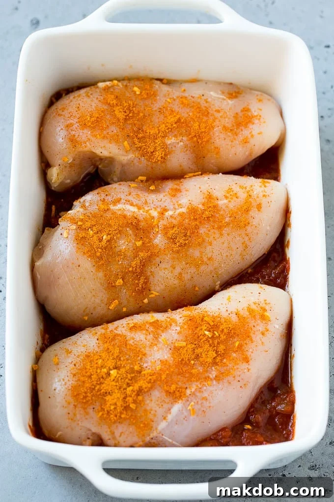Salsa Chicken Recipe | Baked Chicken | Mexican Chicken #chicken #salsa #mexican #lowcarb #keto #glutenfree #dinner #dinneratthezoo Poultry in a baking dish topped with taco seasoning before adding salsa.
