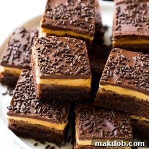 A delectable view of peanut butter brownies, showcasing a dense chocolate brownie base, crowned with a swirl of creamy peanut butter frosting and a decadent fudge topping.