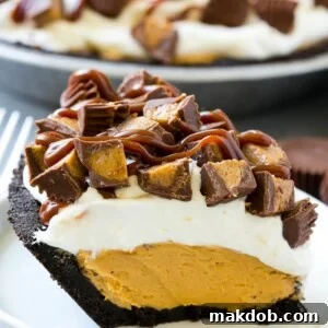 A sumptuous slice of chocolate peanut butter pie, elegantly adorned with fluffy whipped cream, a drizzle of rich chocolate sauce, and scattered peanut butter cup pieces.