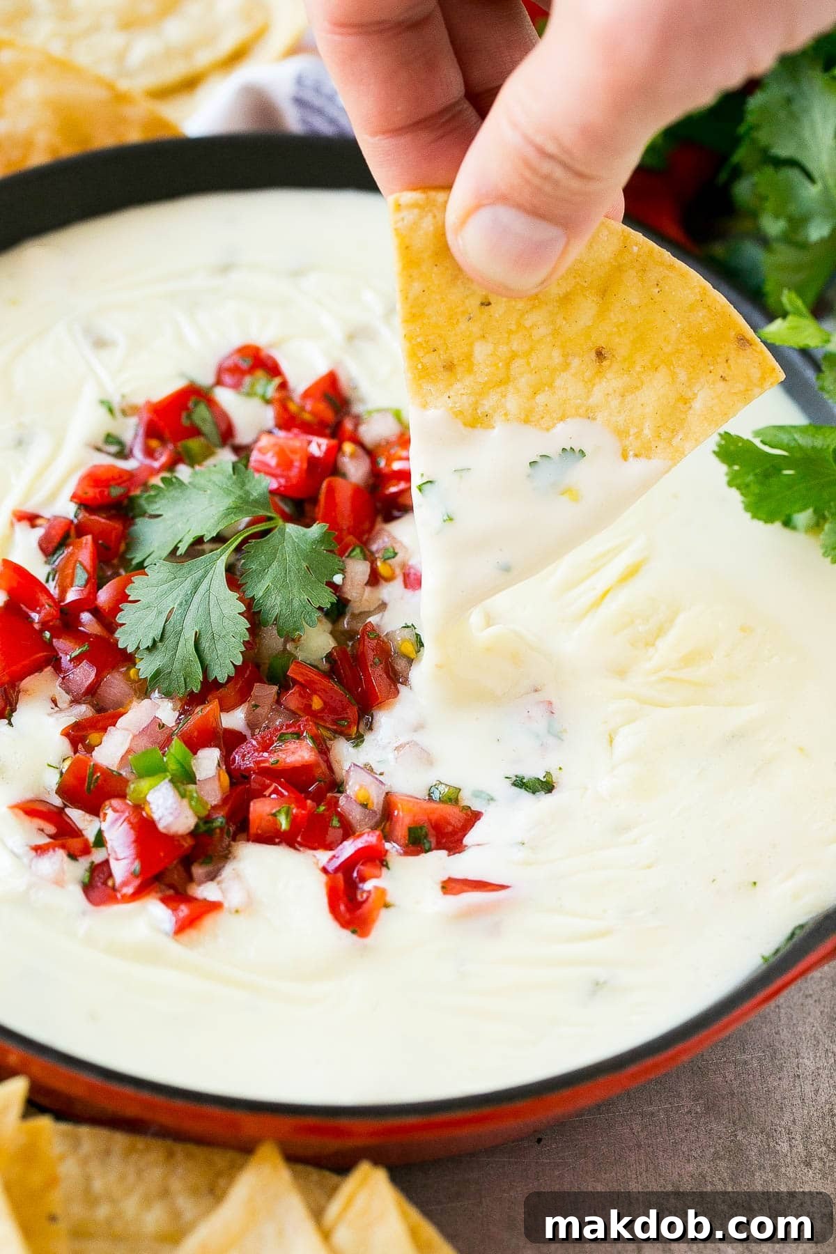 Velvety Queso Blanco 6 A hand with a chip scooping up a serving of white queso dip.