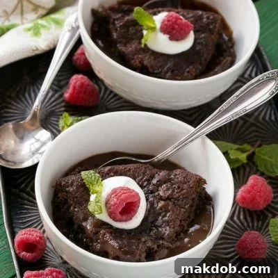 A quick and easy chocolate pudding cake that also happens to be low fat.
