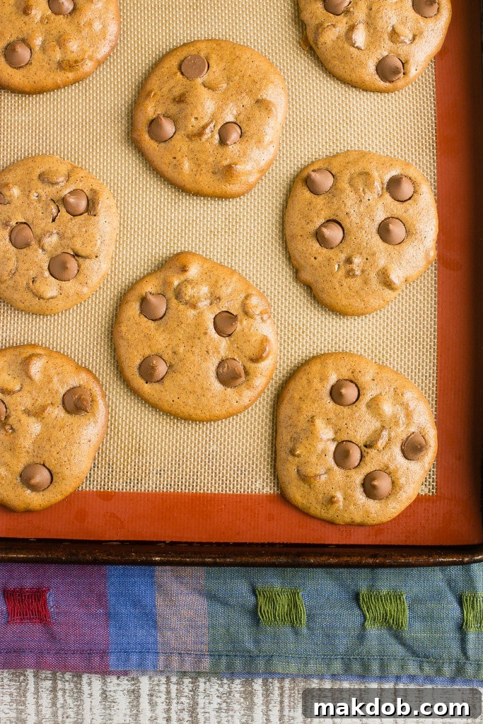 Seriously Gooey Flourless Chocolate Cookies 3 Flourless chocolate chip cookie dough made with almond butter, brown sugar, eggs, salt, and chocolate chips, ready for baking.