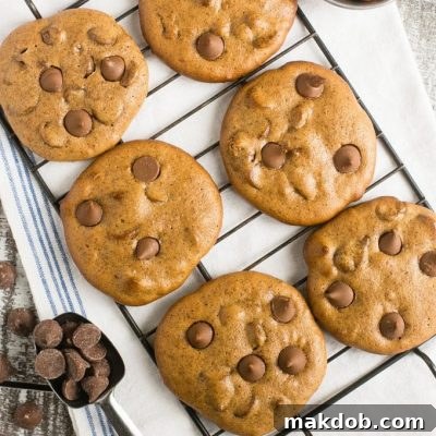 Flourless chocolate chip cookies made with almond butter - gluten free, 5 ingredients, ready in 15 minutes.